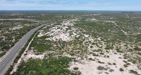 Lote | Costa De Araujo