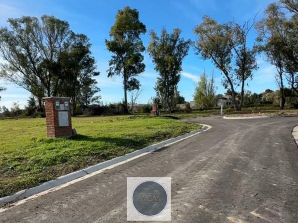 Lote | Santa Sof&iacute;a | Pilar