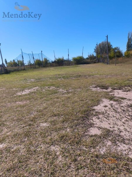 Lote | Costa De Araujo