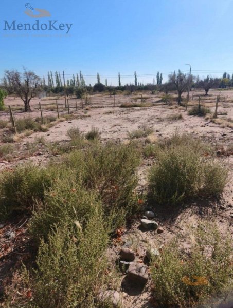Lote | Lunlunta