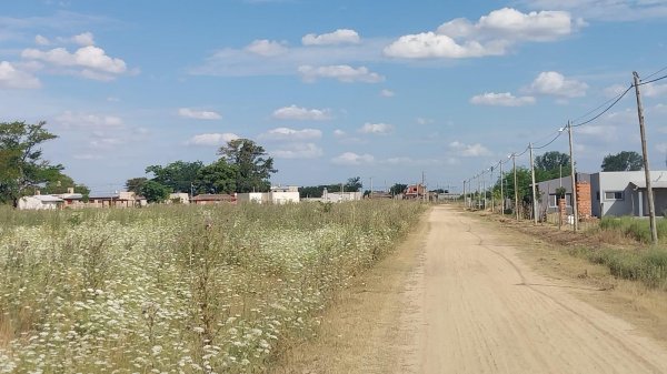 Lote | Agote