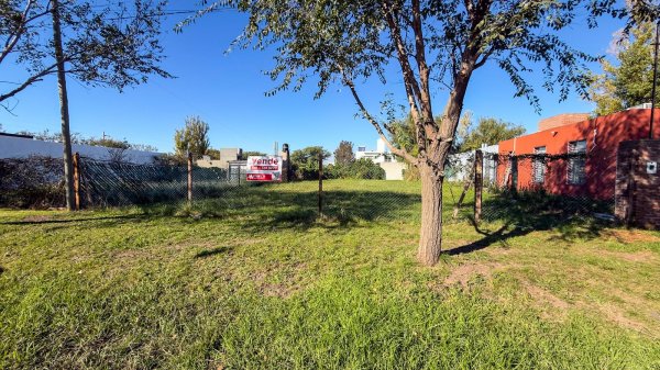 Lote | Funes