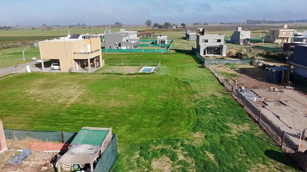 Lote | Brisanova | Esther