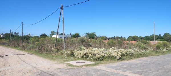 Lote | Belen De Escobar