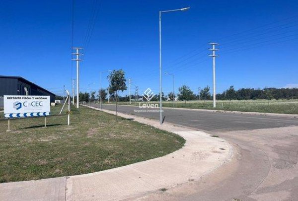 Lote | Coronel Olmedo