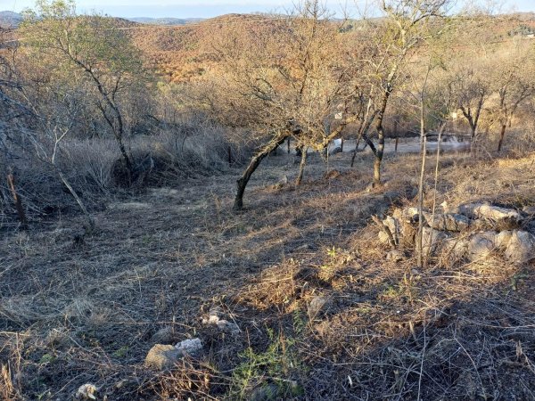 Lote | Rio Ceballos
