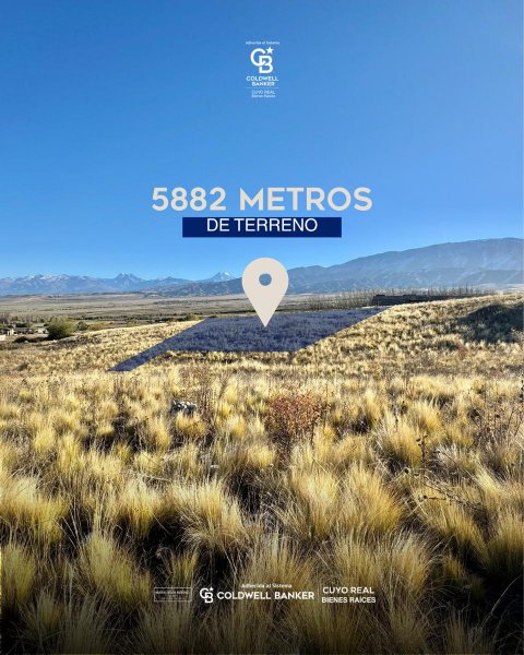 Lote | Tupungato
