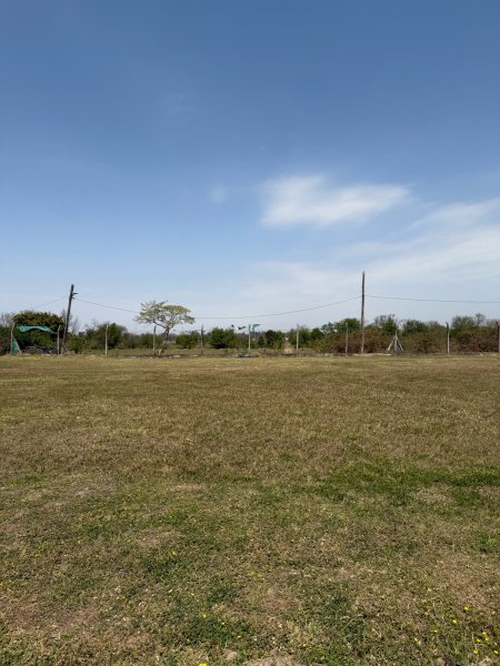 Lote | Yerba Buena
