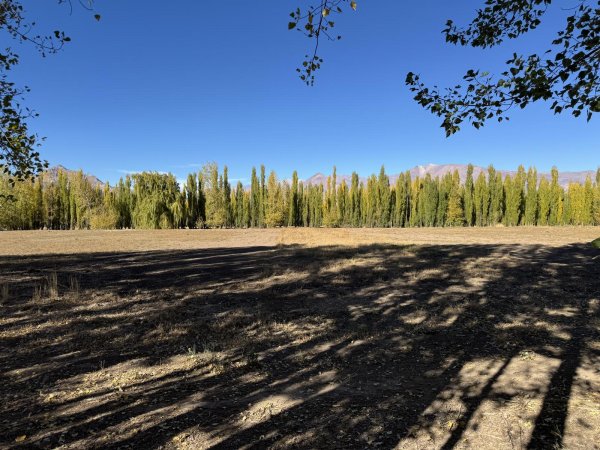 Lote | Uspallata