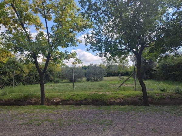 Lote | Vistalba | Lujan De Cuyo