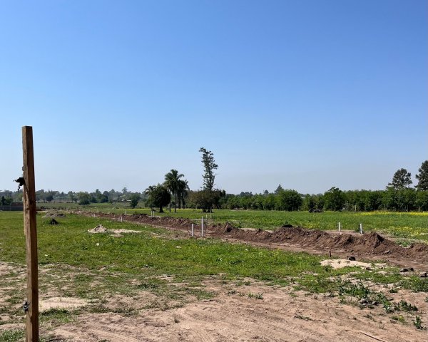 Lote | Yerba Buena