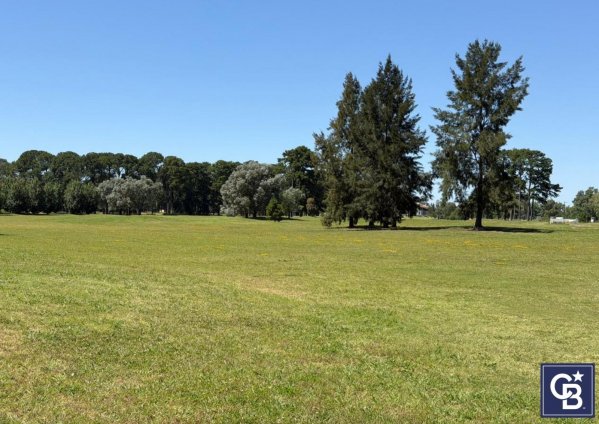 Lote | Los Pinares C. Club