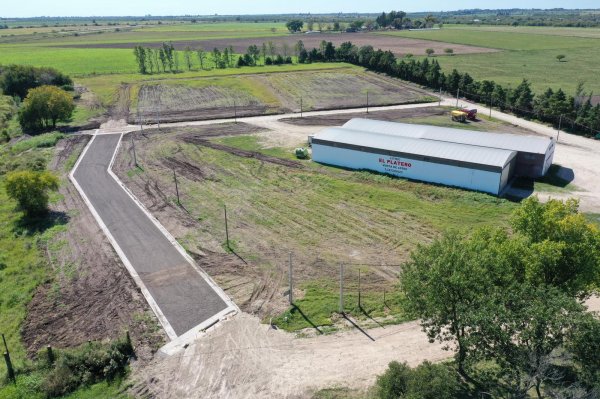 Lote | Viale | Parana