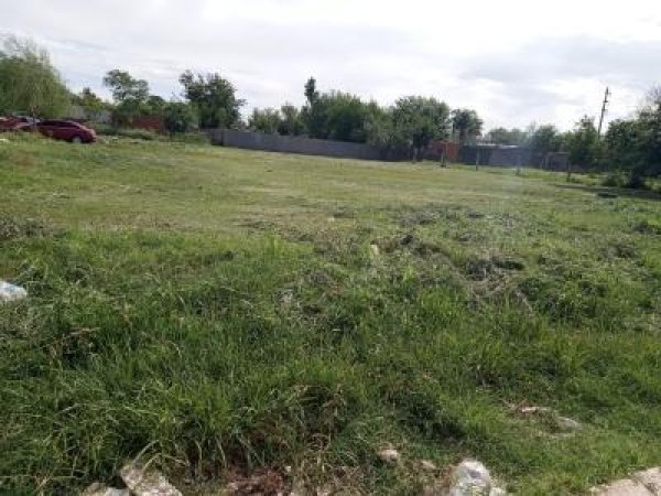 Lote | Carcara&ntilde;a