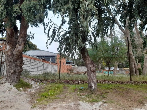 Lote | San Bernardo