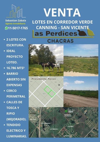 Lote | Guernica