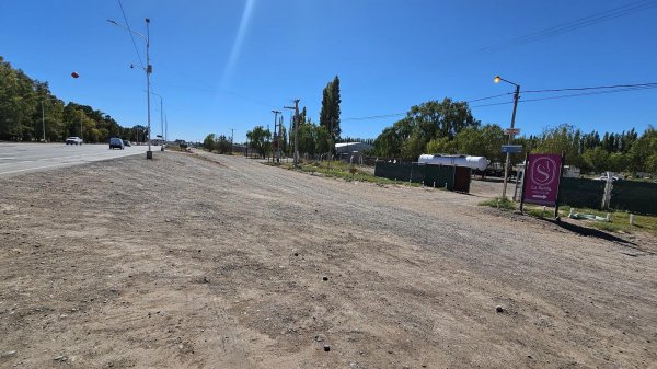 Lote | Centenario