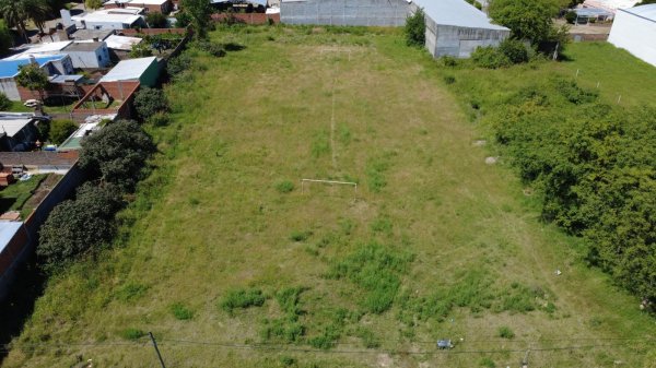 Lote | Parana