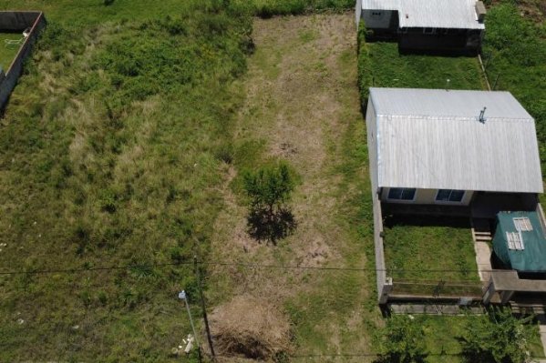 Lote | Parana