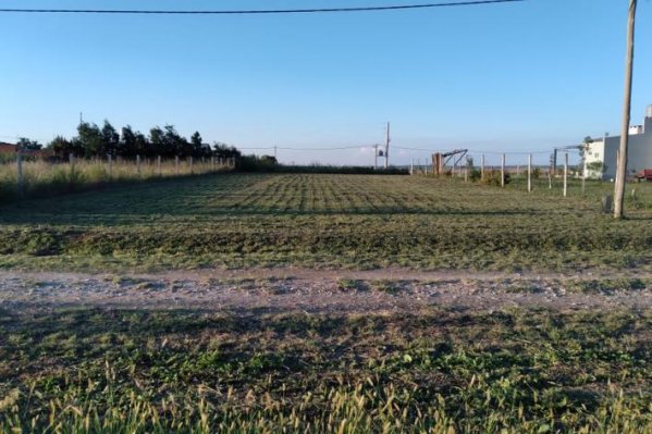 Lote | Parana