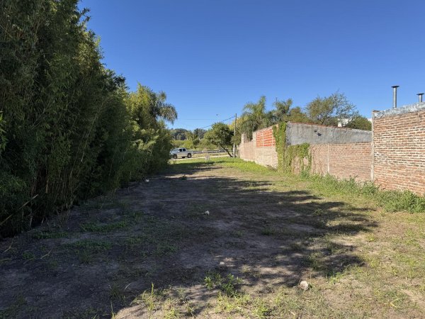 Lote | Parana