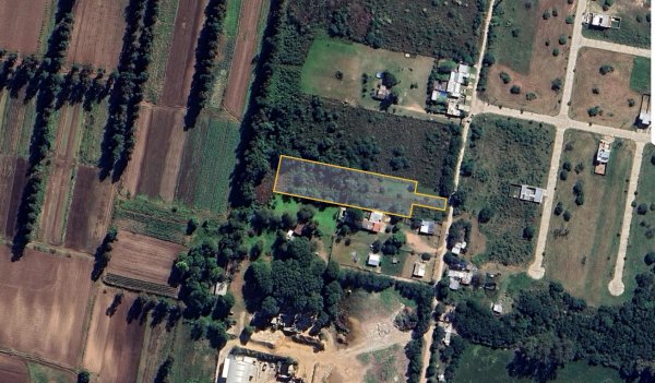 Lote | Parana