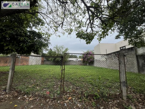 Lote | Yerba Buena