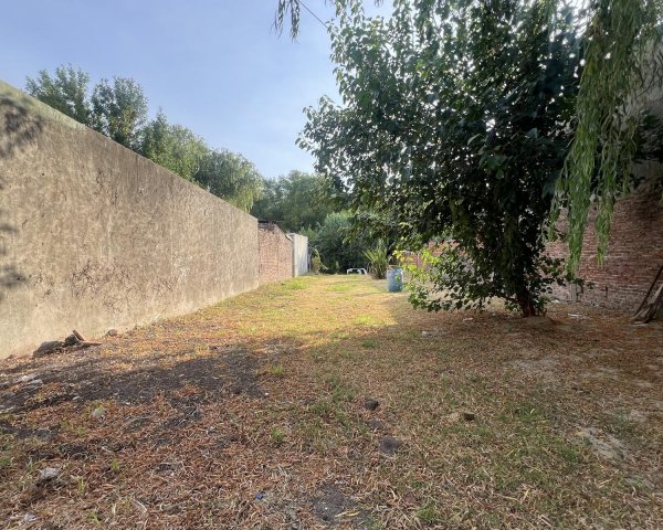 Lote | Parana