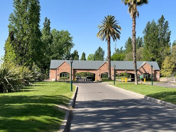 Lote | Lujan De Cuyo