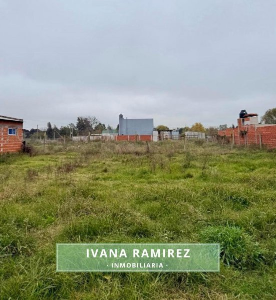 Lote | Villa Ruiz | Gil