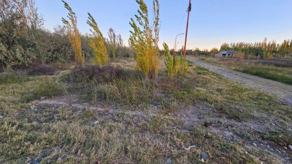 Lote | General Fernandez Oro