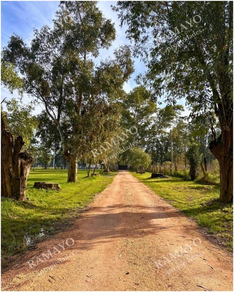 Lote | Ministro Rivadavia