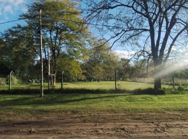 Lote | Gonzalez Moreno