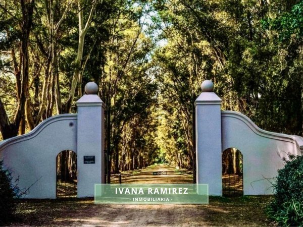 Lote | Chacras de San Andr&eacute;s | Gil