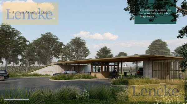 Lote | San Pedro | Tigre
