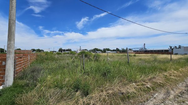 Lote | Strobel | Diamante