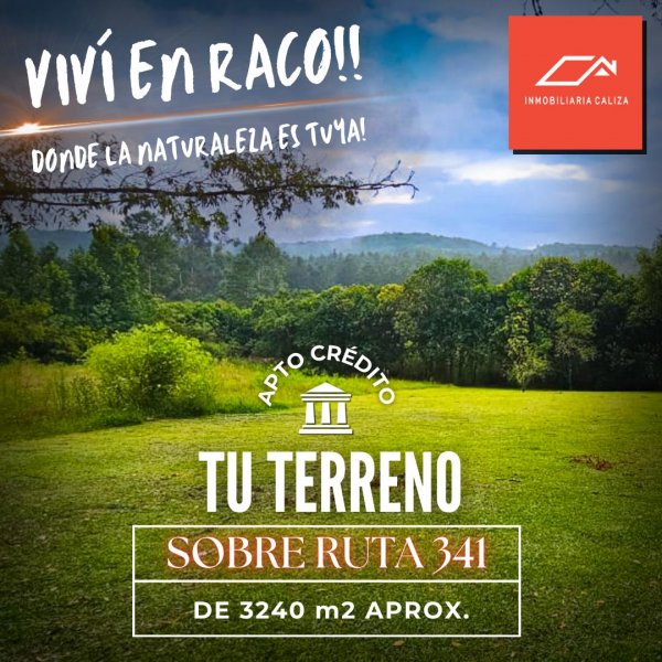 Lote | El Siambon | Tafi Viejo