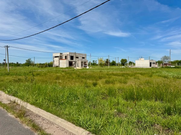 Lote | Jos&eacute; Hern&aacute;ndez | La Plata