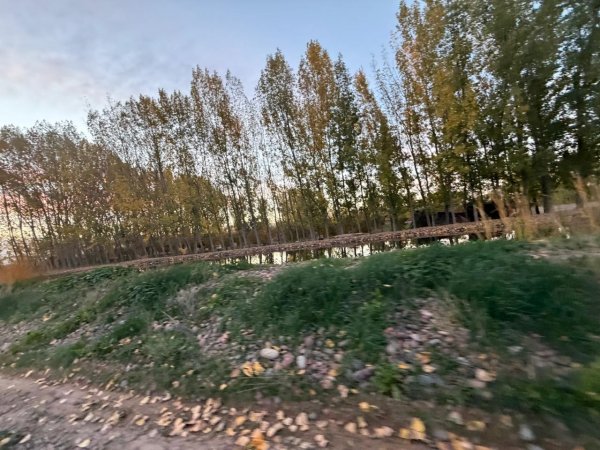 Galp&oacute;n en venta | 1 ambientes | Agrelo | Lujan De Cuyo