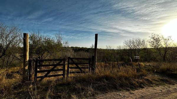 Lote | Bialet Masse