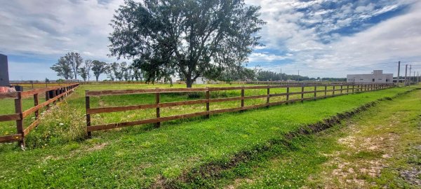 Lote | San Miguel