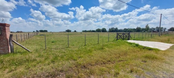 Lote | Ca&ntilde;uelas
