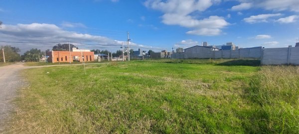 Lote | Ca&ntilde;uelas
