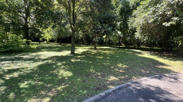 Lote | Ca&ntilde;uelas
