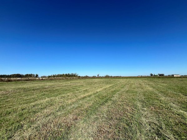 Lote | Uribelarrea | Ca&ntilde;uelas