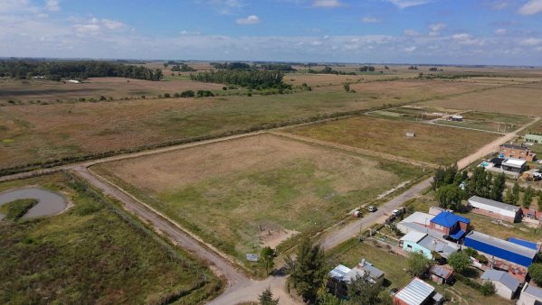 Lote | Uribelarrea | Ca&ntilde;uelas