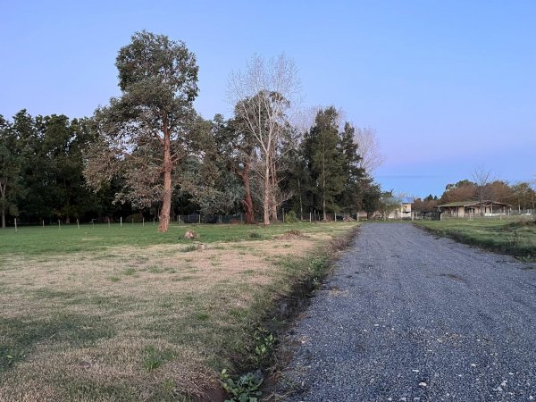 Lote | Ca&ntilde;uelas