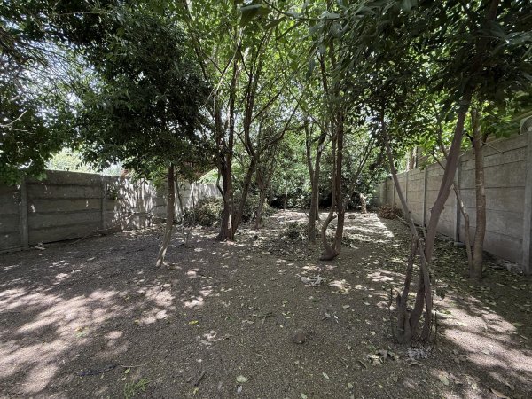 Lote | Ca&ntilde;uelas