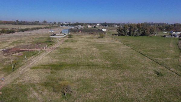 Lote | Ca&ntilde;uelas