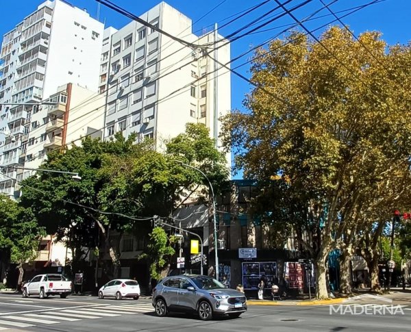 Lote | Lopez